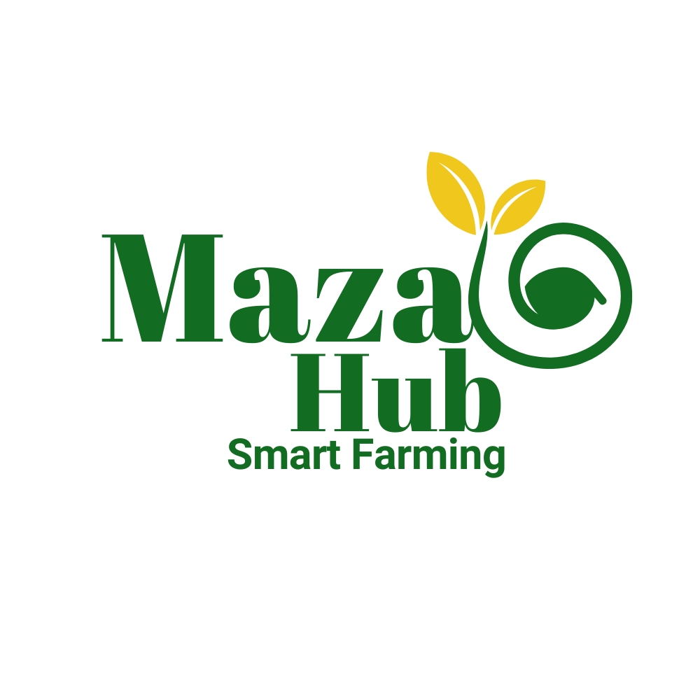 Mazaohub